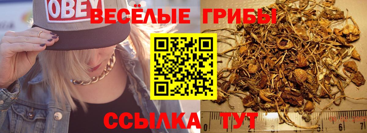 Псилоцибиновые грибы прущие грибы  Вход с VPN  Дзержинск  Псилоцибиновые грибы Magic Shrooms 